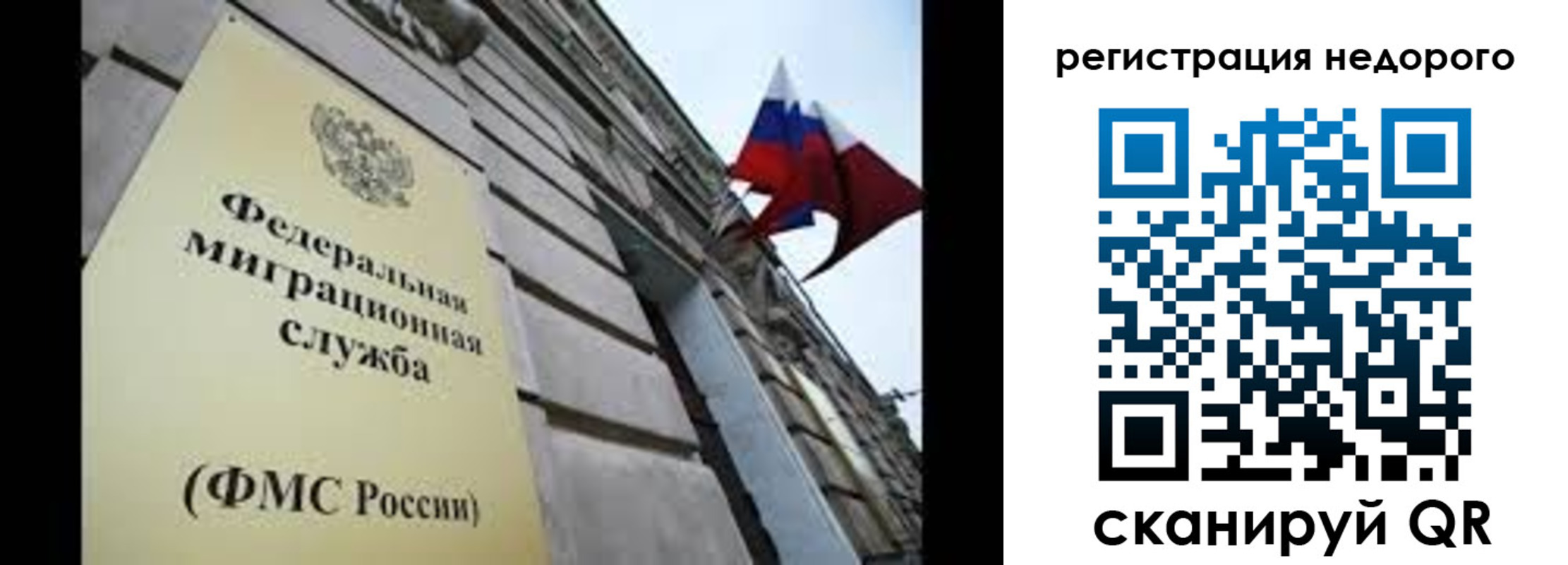 прописка поиск в Тайшете